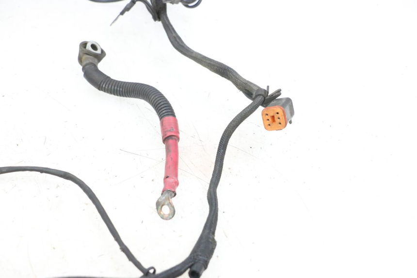 photo de WIRE HARNESS HARLEY DAVIDSON SPORTSTER XL CUSTOM 1200 (2003 - 2004)