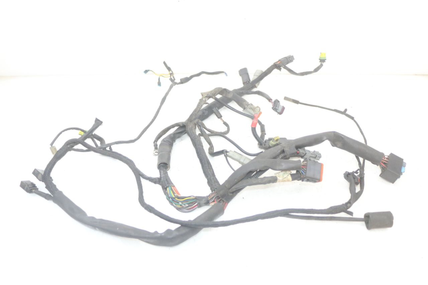 photo de WIRE HARNESS HARLEY DAVIDSON SPORTSTER XL CUSTOM 883 (1999 - 2006)