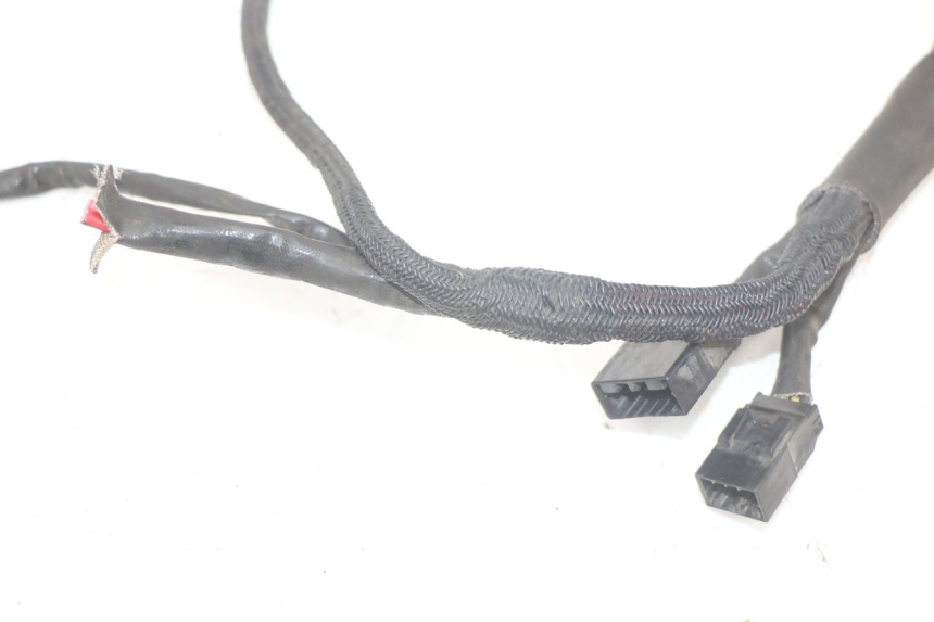 photo de WIRE HARNESS HARLEY DAVIDSON SPORTSTER XL CUSTOM 883 (1999 - 2006)