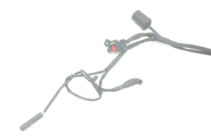 photo de WIRE HARNESS HARLEY DAVIDSON SPORTSTER XL CUSTOM 883 (1999 - 2006)