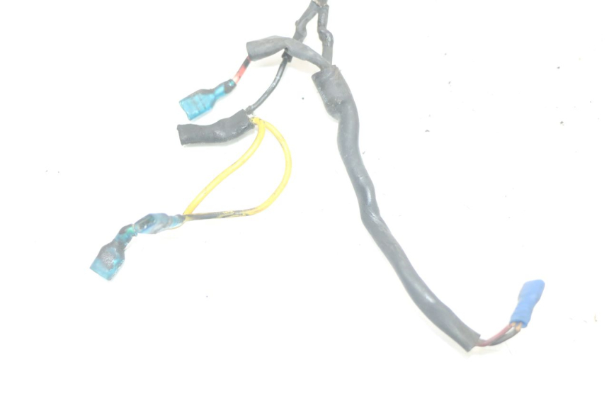 photo de WIRE HARNESS HARLEY DAVIDSON SPORTSTER XL CUSTOM 883 (1999 - 2006)