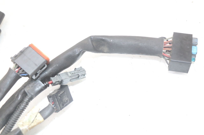 photo de WIRE HARNESS HARLEY DAVIDSON SPORTSTER XL CUSTOM 883 (1999 - 2006)