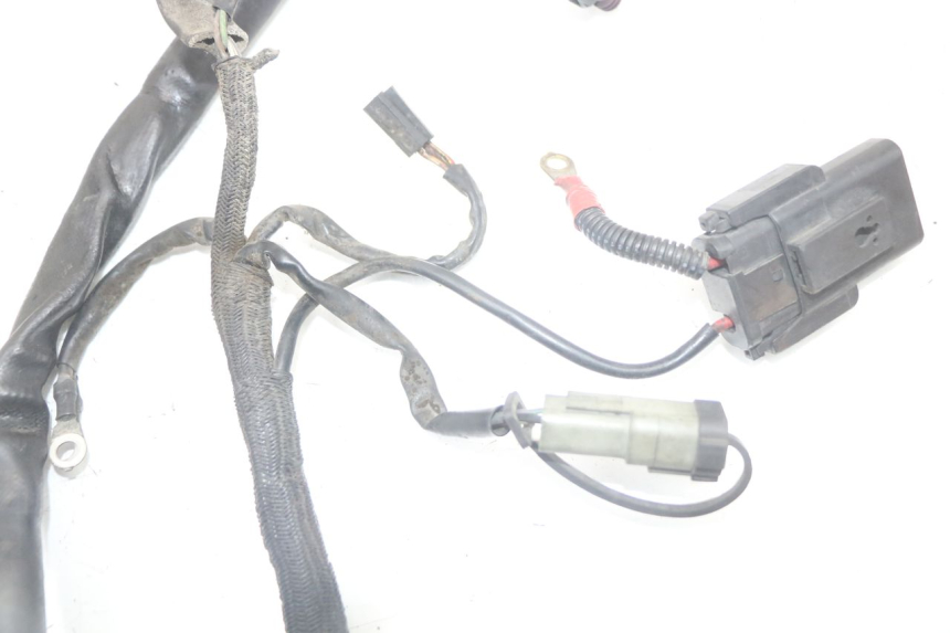 photo de WIRE HARNESS HARLEY DAVIDSON SPORTSTER XL CUSTOM 883 (1999 - 2006)