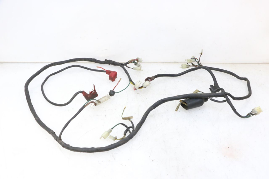 photo de WIRING HARNESS DAELIM HISTORY 125 (2001 - 2002)