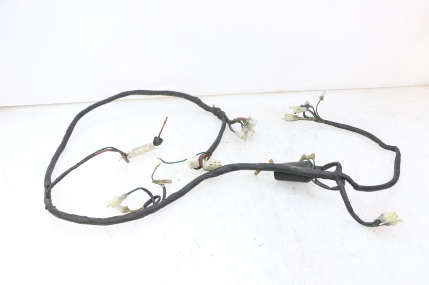 photo de WIRING HARNESS DAELIM HISTORY 125 (2001 - 2002)