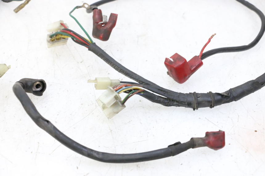 photo de WIRING HARNESS DAELIM HISTORY 125 (2001 - 2002)