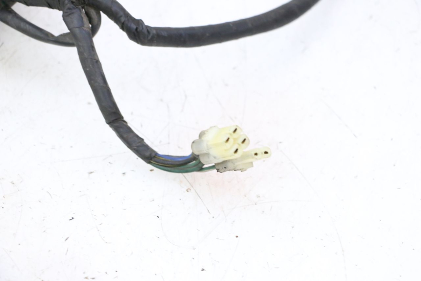 photo de WIRING HARNESS DAELIM HISTORY 125 (2001 - 2002)