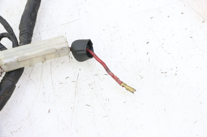 photo de WIRING HARNESS DAELIM HISTORY 125 (2001 - 2002)