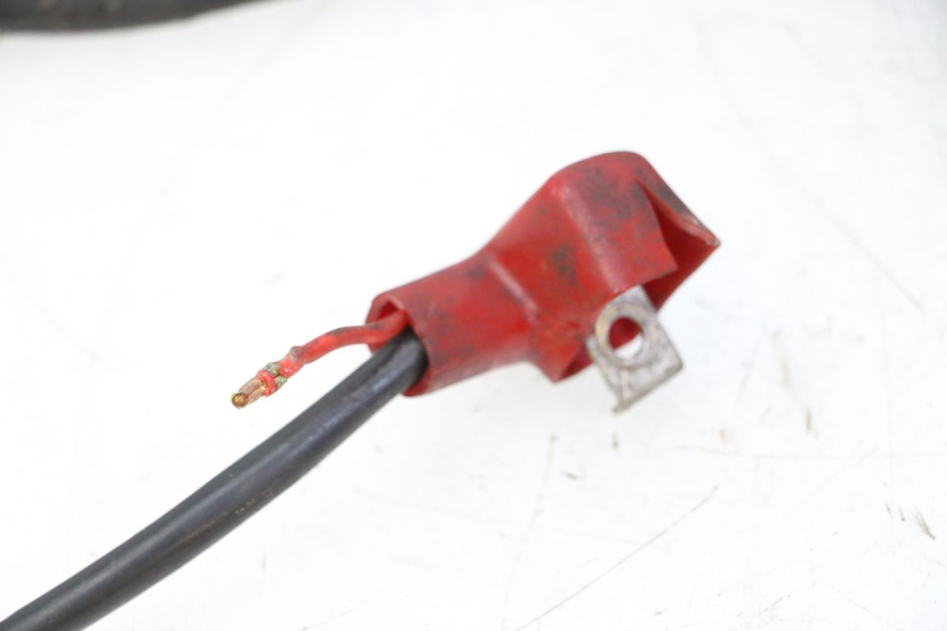 photo de WIRING HARNESS DAELIM HISTORY 125 (2001 - 2002)