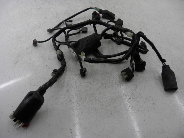 photo de WIRE HARNESS HONDA CBF 125 (2009 - 2015)
