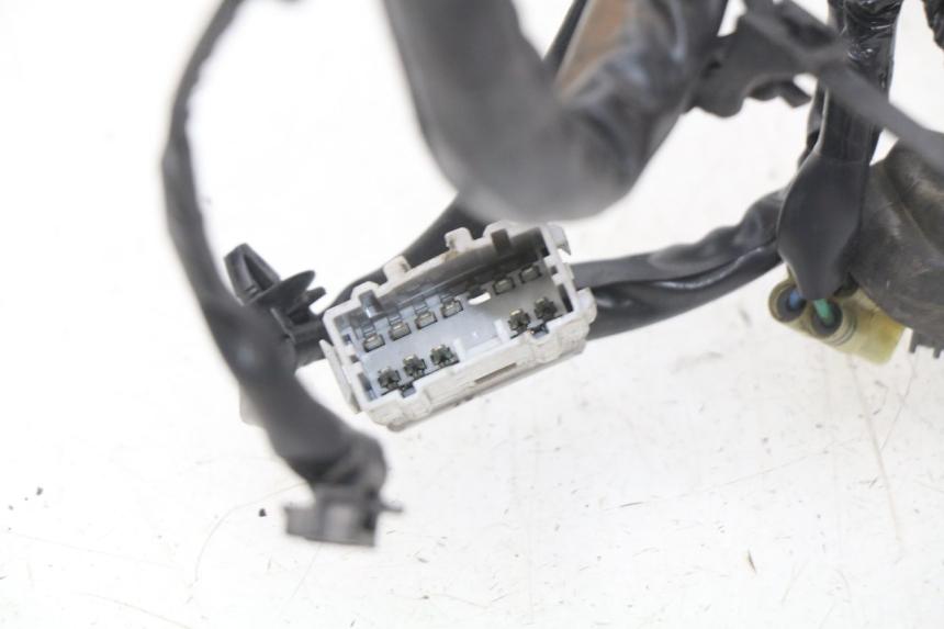 photo de WIRE HARNESS HONDA CBRF CBR-F PC41 600 (2011 - 2013)