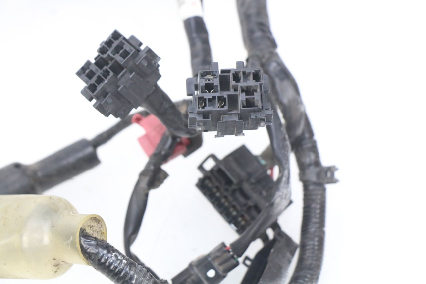 photo de WIRE HARNESS HONDA CBRF CBR-F PC41 600 (2011 - 2013)