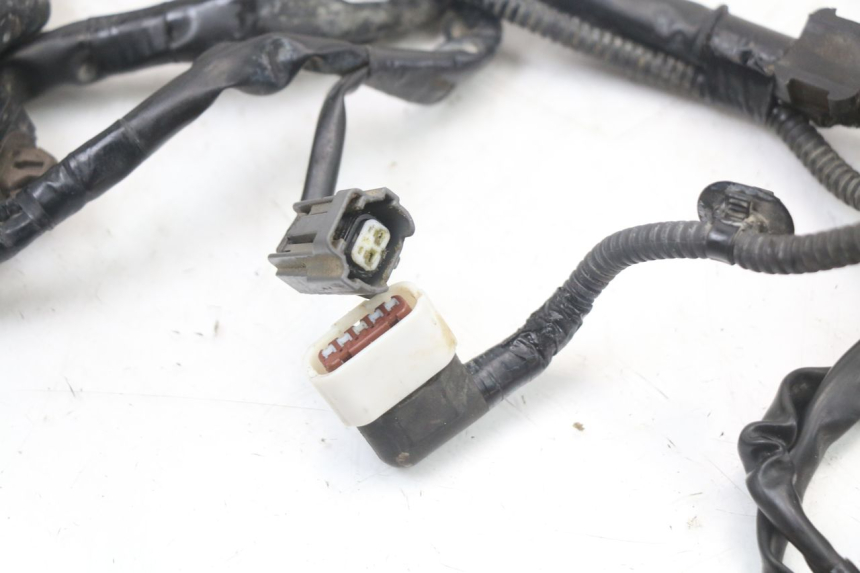 photo de WIRE HARNESS HONDA CRF R 250 (2020 - 2021)