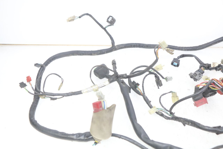 photo de WIRING HARNESS HONDA FES PANTHEON 125 (2003 - 2007)