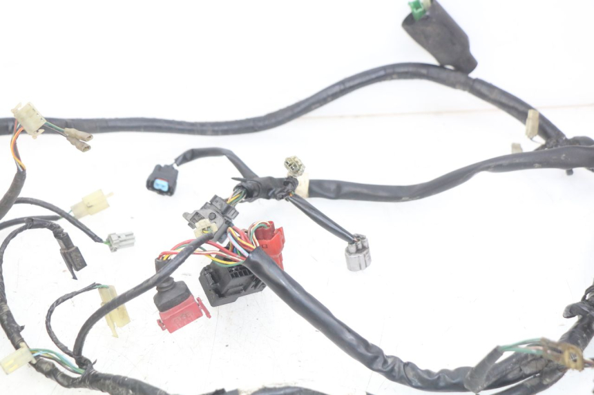 photo de WIRING HARNESS HONDA FES PANTHEON 125 (2003 - 2007)