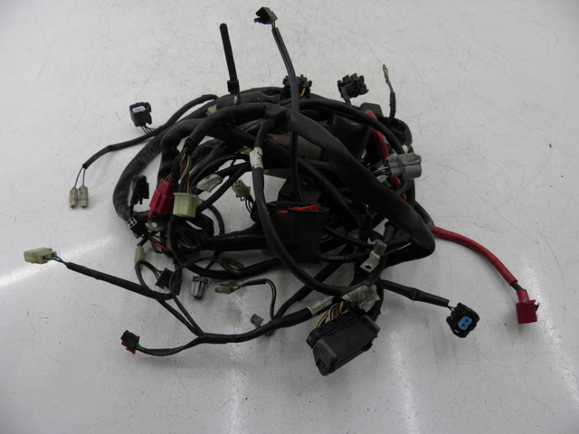 photo de WIRING HARNESS HONDA FES PANTHEON 125 (2003 - 2007)