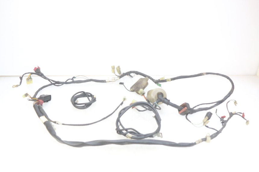 photo de WIRING HARNESS HONDA FES PANTHEON 2T 125 (1998 - 2002)