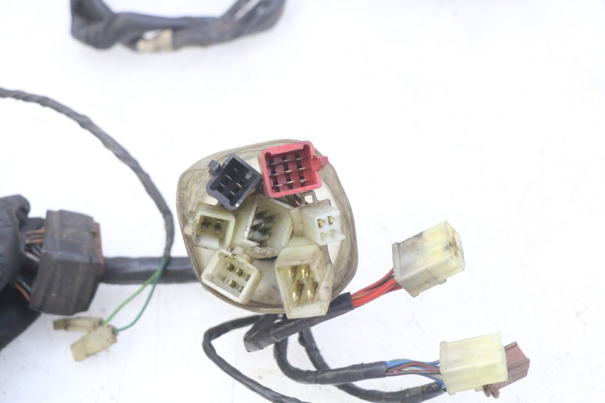 photo de WIRING HARNESS HONDA FES PANTHEON 2T 125 (1998 - 2002)