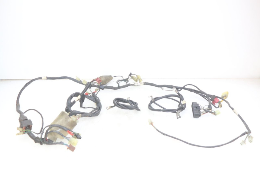 photo de WIRING HARNESS HONDA FES PANTHEON 2T 125 (1998 - 2002)