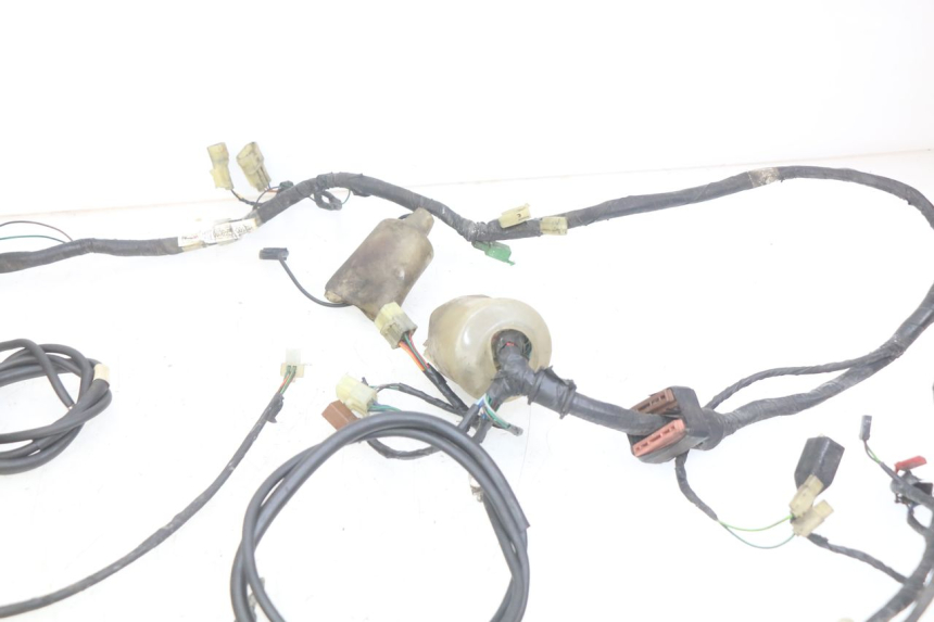 photo de WIRING HARNESS HONDA FES PANTHEON 2T 125 (1998 - 2002)