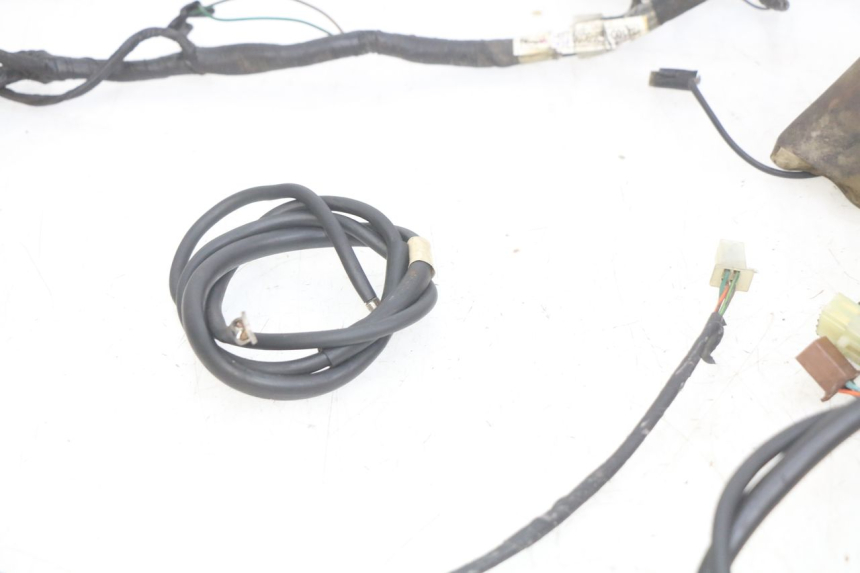 photo de WIRING HARNESS HONDA FES PANTHEON 2T 125 (1998 - 2002)