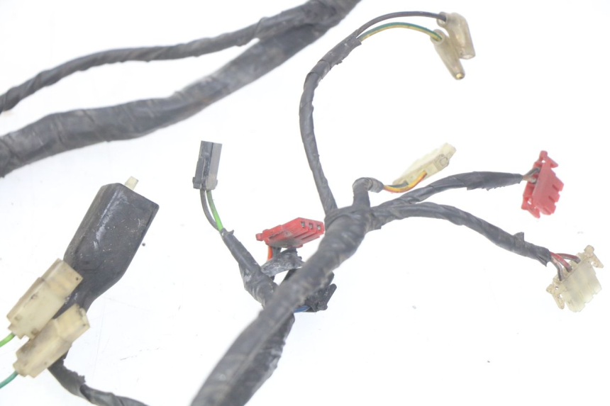 photo de WIRING HARNESS HONDA FES PANTHEON 2T 125 (1998 - 2002)