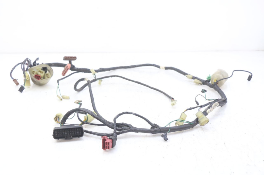 photo de WIRING HARNESS HONDA FES PANTHEON 2T 125 (1998 - 2002)