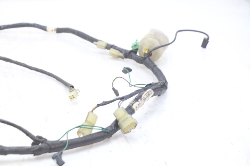 photo de WIRING HARNESS HONDA FES PANTHEON 2T 125 (1998 - 2002)