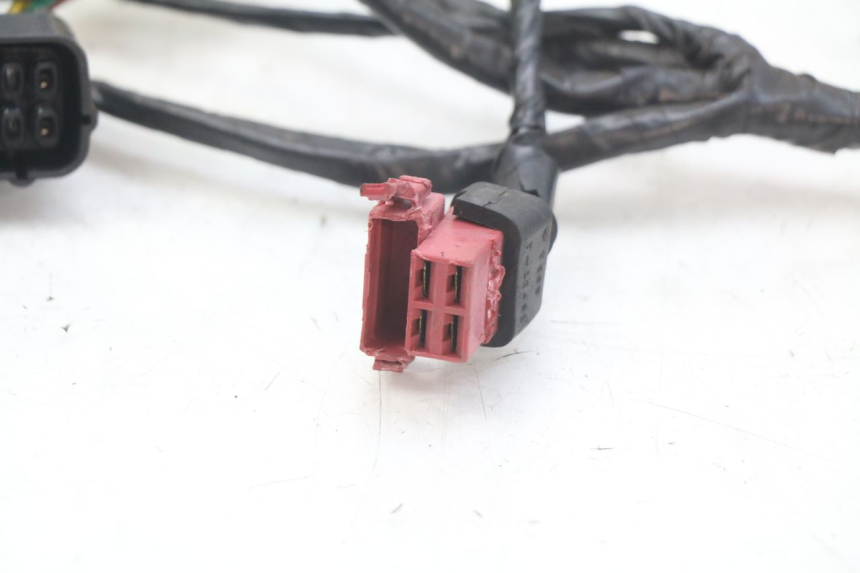 photo de WIRING HARNESS HONDA FES PANTHEON 2T 125 (1998 - 2002)