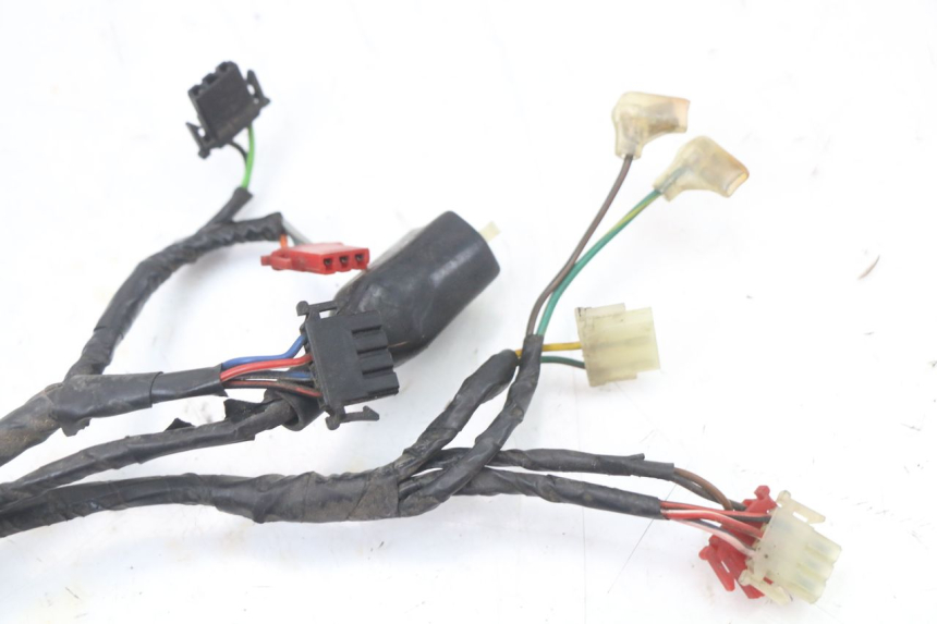 photo de WIRING HARNESS HONDA FES PANTHEON 2T 125 (1998 - 2002)