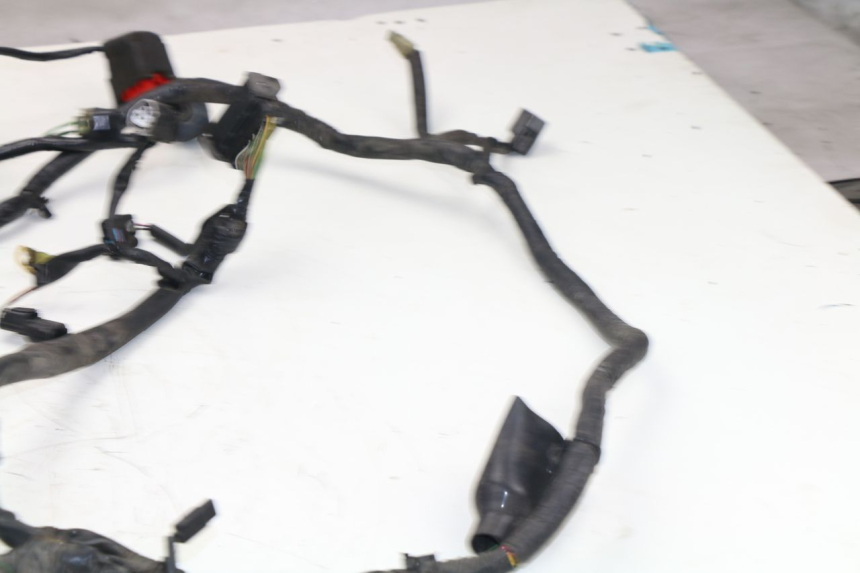 photo de WIRE HARNESS HONDA FES S-WING SWING 125 (2007 - 2015)