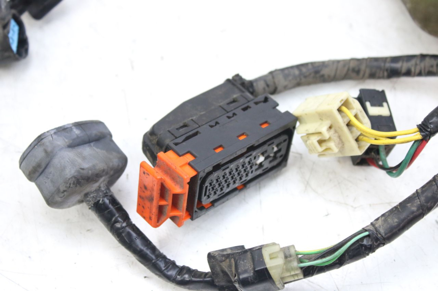 photo de WIRING HARNESS HONDA FES S-WING SWING ABS 125 (2007 - 2015)