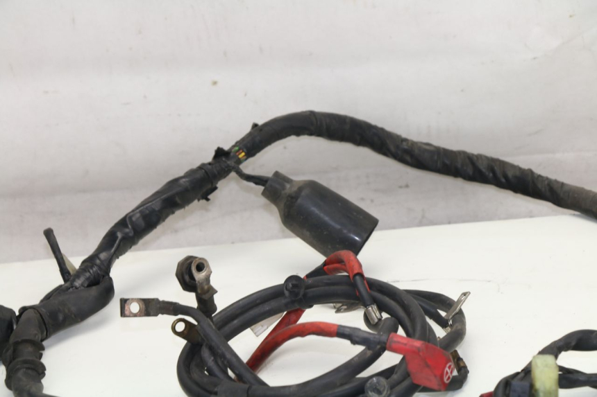 photo de WIRING HARNESS HONDA FES S-WING SWING ABS 125 (2007 - 2015)