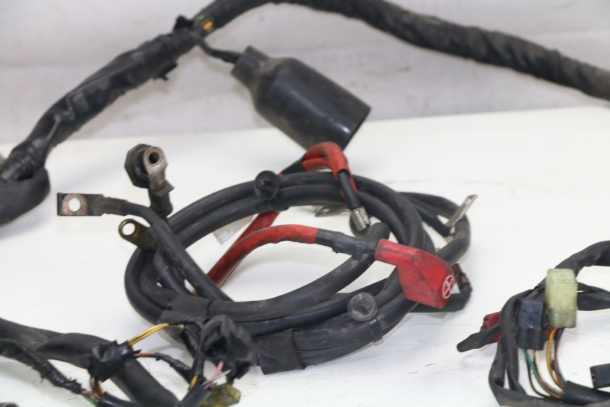 photo de WIRING HARNESS HONDA FES S-WING SWING ABS 125 (2007 - 2015)