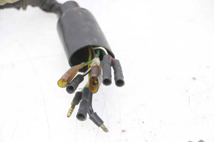 photo de WIRE HARNESS HONDA MTX TC02 125 (1987 - 1989)