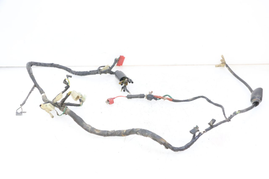 photo de WIRE HARNESS HONDA MTX TC02 125 (1987 - 1989)