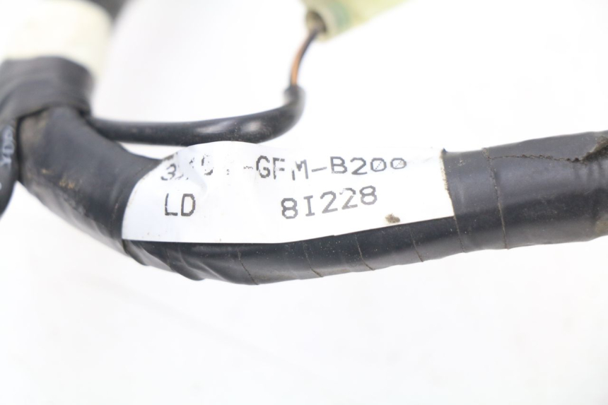 photo de WIRE HARNESS HONDA NHX LEAD 110 (2008 - 2010)