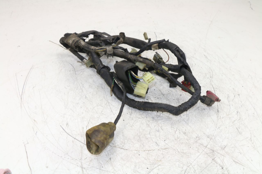 photo de WIRE HARNESS HONDA NTV REVERSE 650 (1993 - 1994)