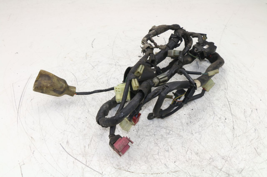 photo de WIRE HARNESS HONDA NTV REVERSE 650 (1993 - 1994)