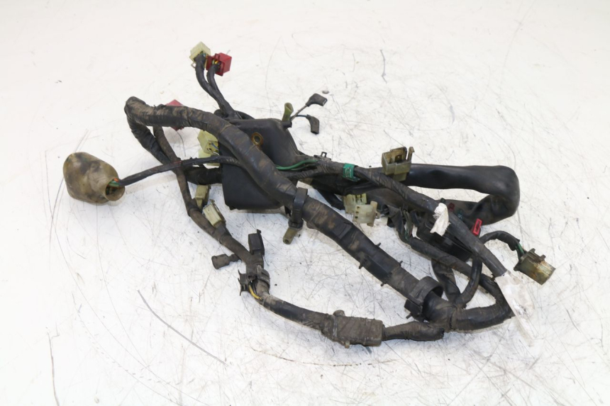 photo de WIRE HARNESS HONDA NTV REVERSE 650 (1993 - 1994)