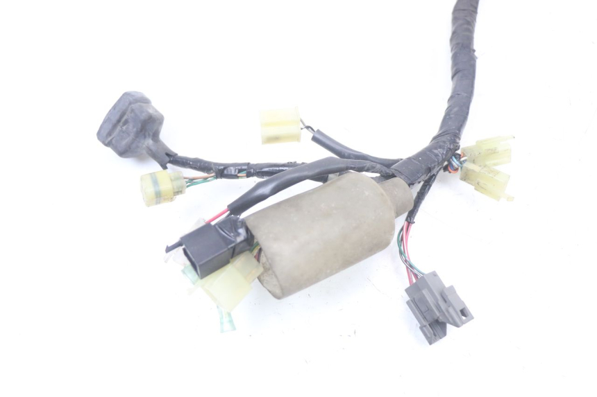 photo de WIRE HARNESS HONDA PCX (JF28) 125 (2009 - 2011)