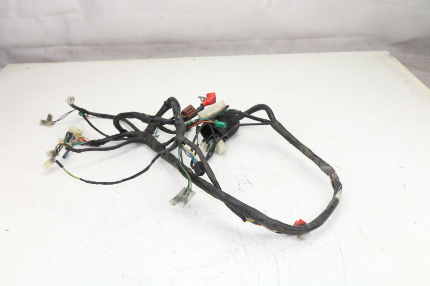 photo de WIRE HARNESS HONDA SCV LEAD 100 (2003 - 2007)