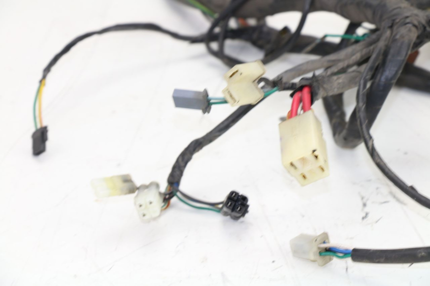 photo de WIRE HARNESS HONDA SCV LEAD 100 (2003 - 2007)