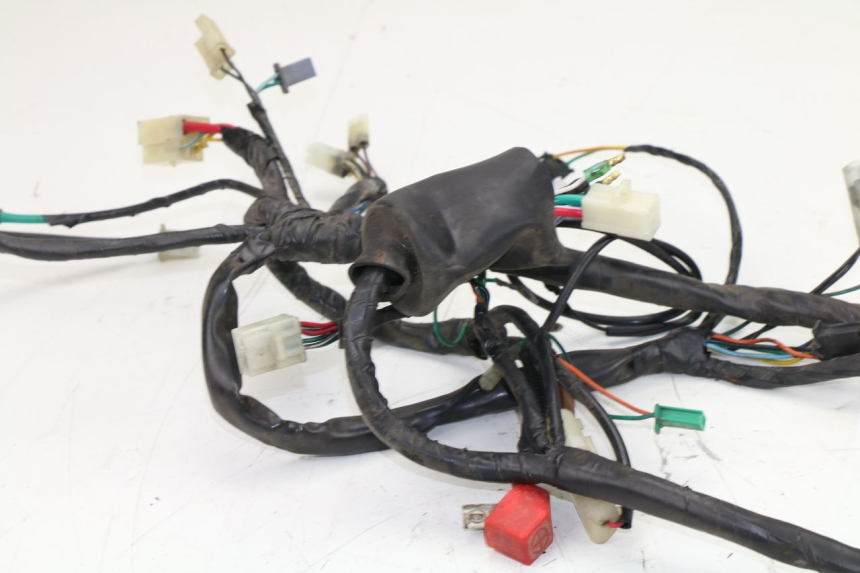 photo de WIRE HARNESS HONDA SCV LEAD 100 (2003 - 2007)