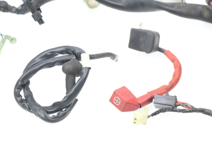 photo de WIRE HARNESS HONDA SES DYLAN 125 (2002 - 2006)