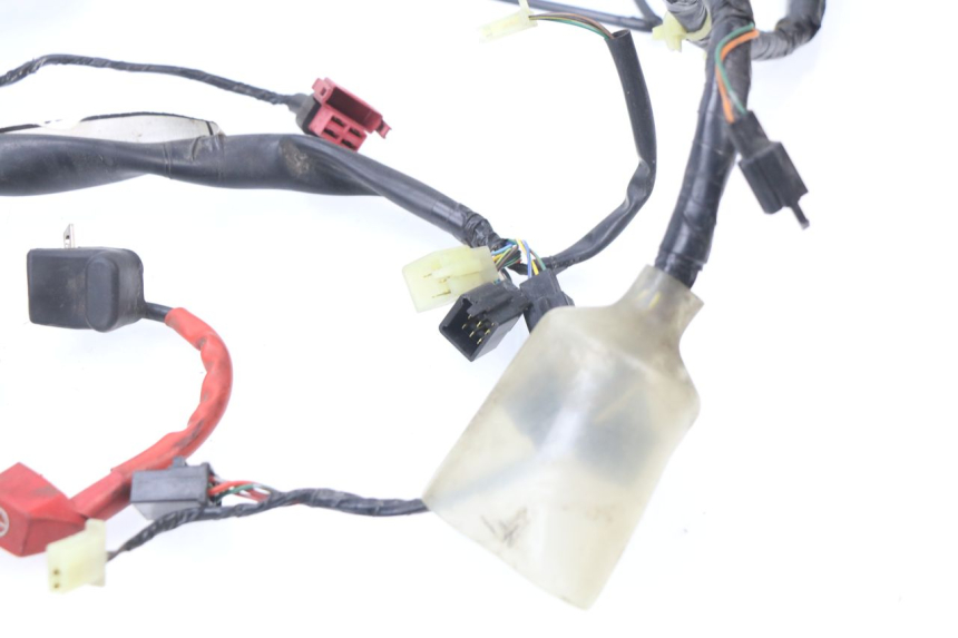 photo de WIRE HARNESS HONDA SES DYLAN 125 (2002 - 2006)