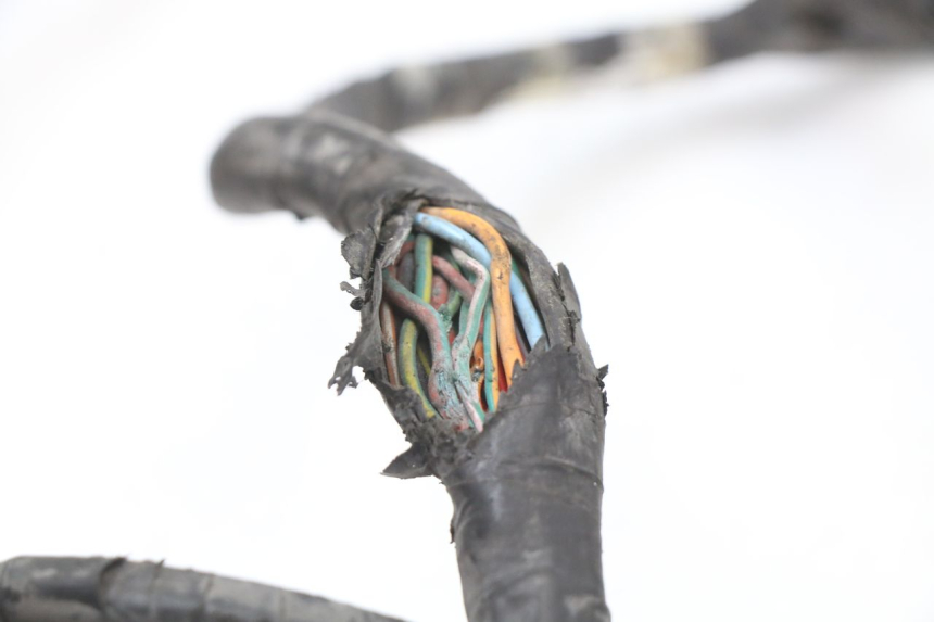 photo de WIRE HARNESS HONDA SH ABS 125 (2012 - 2017)