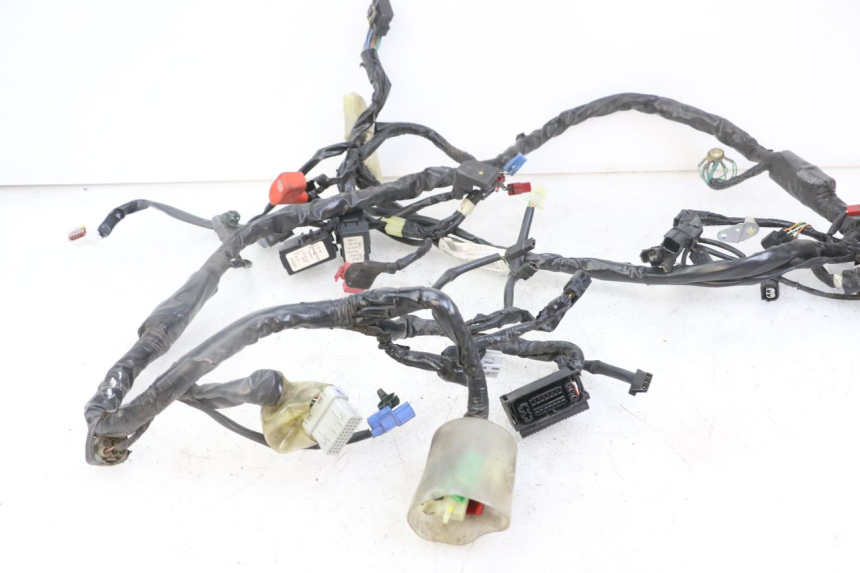 photo de WIRE HARNESS HONDA SH i 300 (2015 - 2020)