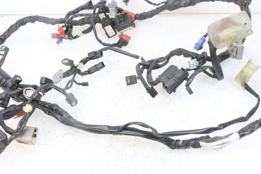 photo de WIRE HARNESS HONDA SH i 300 (2015 - 2020)