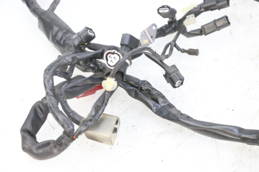 photo de WIRE HARNESS HONDA SH i 300 (2015 - 2020)